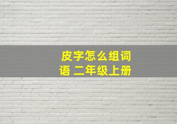 皮字怎么组词语 二年级上册